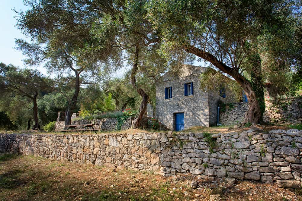 Stone House Located In An Olive Grove