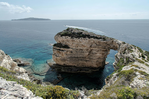 Paxos